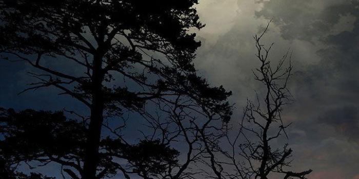 720x1280 Mystic Night Live Wallpaper for Android - APK Download