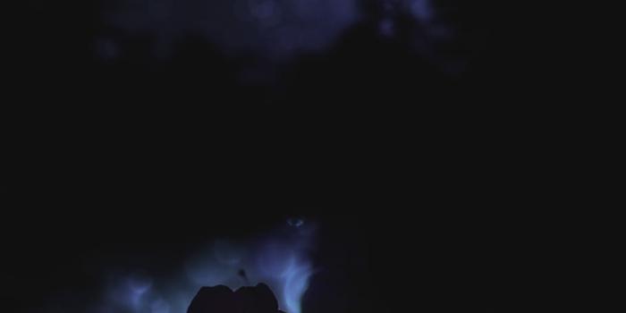 910x1256 HD wallpaper: germany, black forest, night, magic, mystic, macro