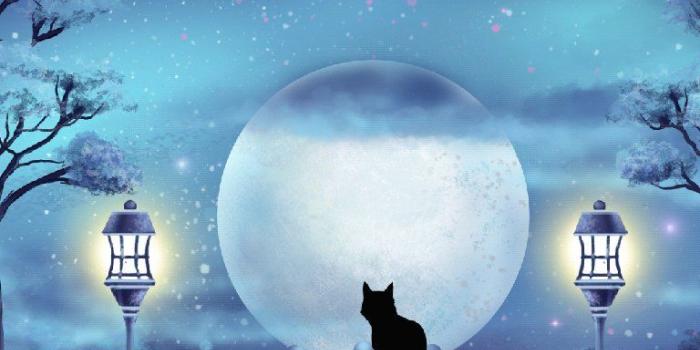 768x1024 Mystic Live Wallpaper Mystic Live Wallpaper Amax Software - Winter