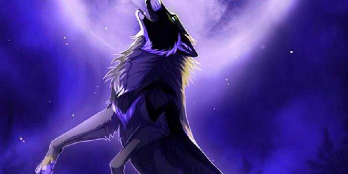 720x1280 Mystic Backgrounds posted by Ryan Sellers