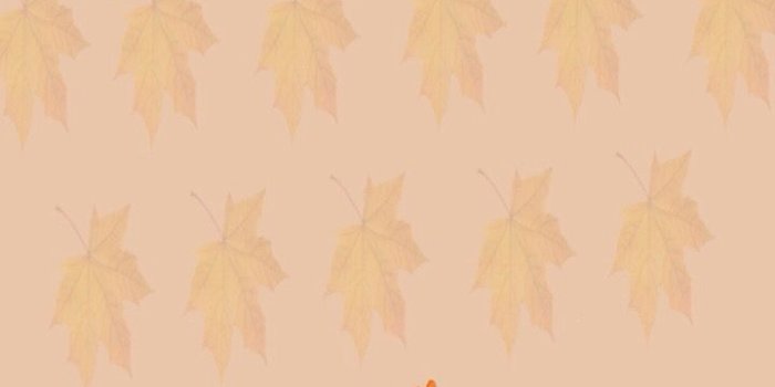 720x1280 Autumn Owl Wallpapers - Top Free Autumn Owl Backgrounds