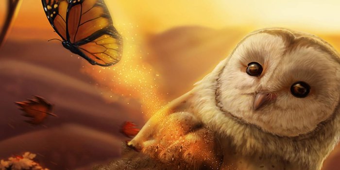 1440x1280 Autumn Owl wallpaper by Venus_ - 87 - Free on ZEDGE™