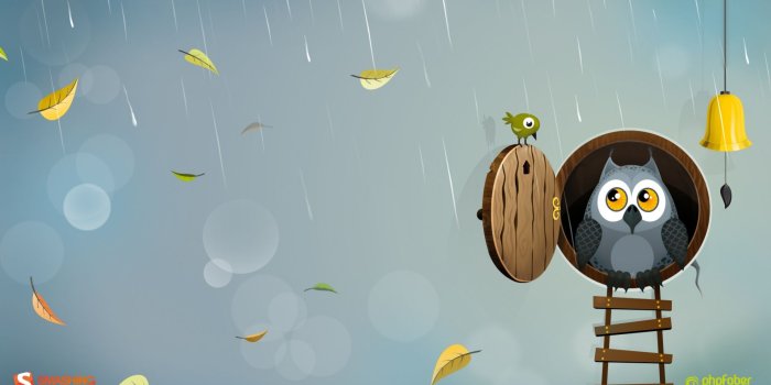 1920x1080 Autumn Owl wallpapers | Autumn Owl stock photos