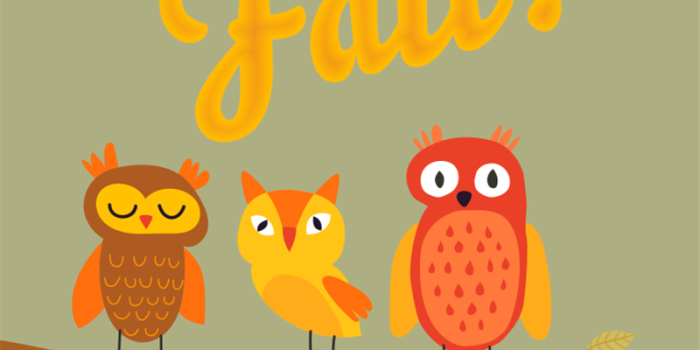 800x1422 Welcome Fall Owls! - Phone Wallpaper and Mobile Background