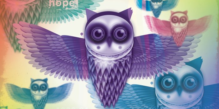 2560x1600 Colorful Owl Wallpaper Hd - Owl Wallpaper For Computers (#616263