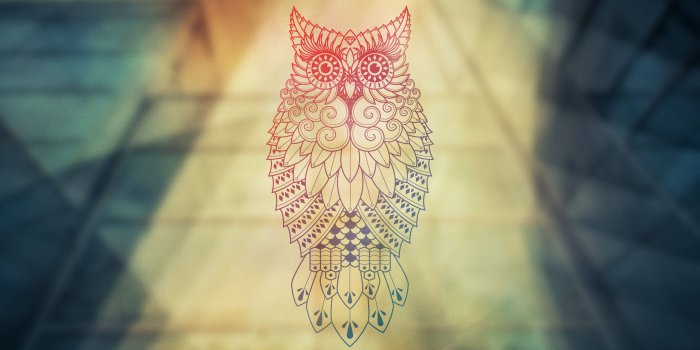 2560x1440 74+ Snowy Owl Wallpaper HD