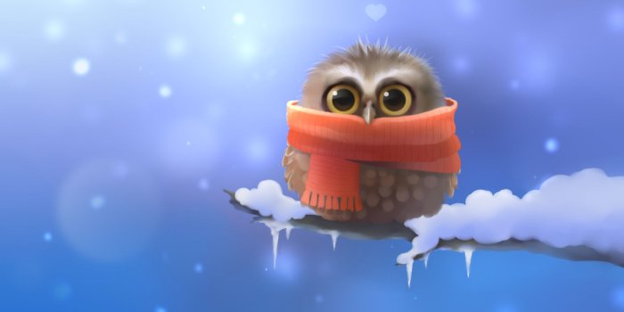 1920x1080 49+] Cartoon Owl Desktop Wallpaper on WallpaperSafari