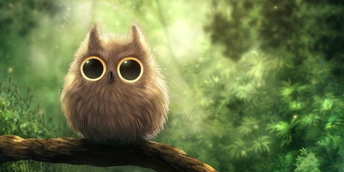 1280x720 Owl - Owls wallpaper (40623465) - fanpop