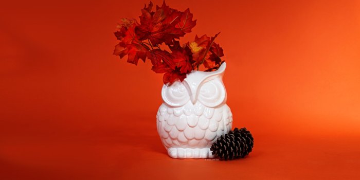 2560x1600 Fall Wallpapers, Fall Facebook Covers, Fall Printables by Kate.net