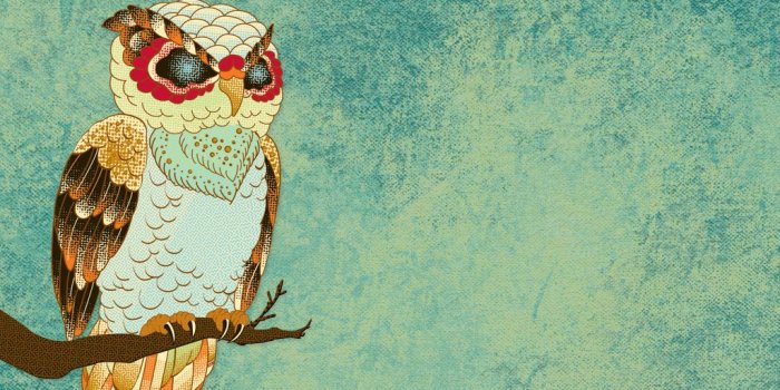 1024x768 Best 51+ Owl Backgrounds on HipWallpaper | Owl Wallpapers