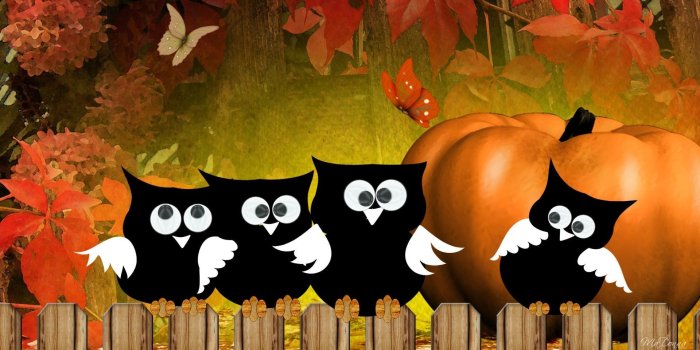 1920x1080 Pin on Holiday treats