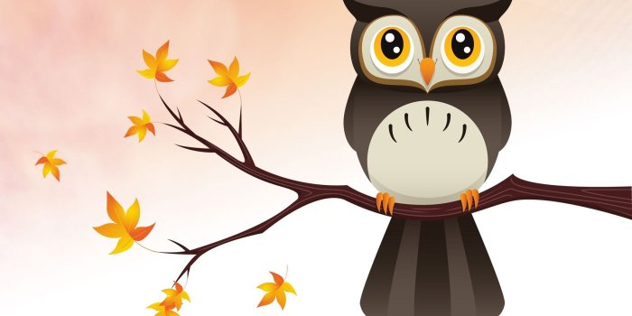 1920x1080 Cute Owl Background Hd - Cute Owl Wallpaper Hd - 1920x1080