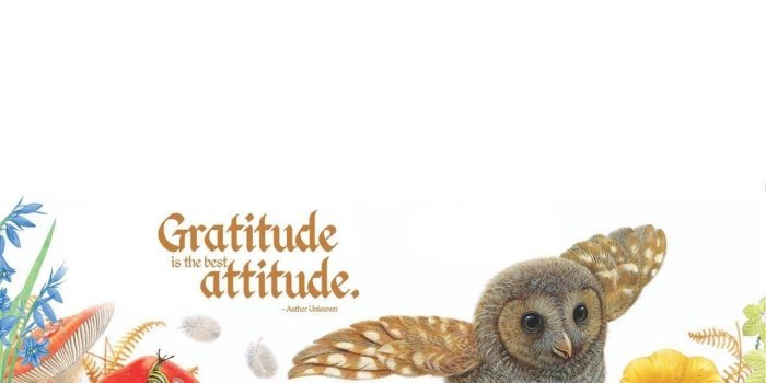 1280x1024 Silver Dolphin Books–Olivia Owl November Fall Desktop Wallpapers