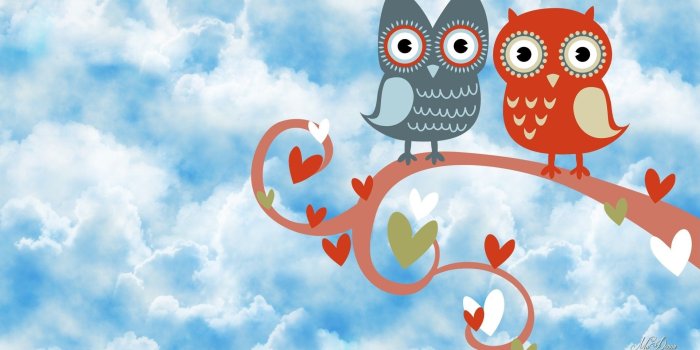 1920x1080 69+ Cute Owl Wallpapers on WallpaperPlay