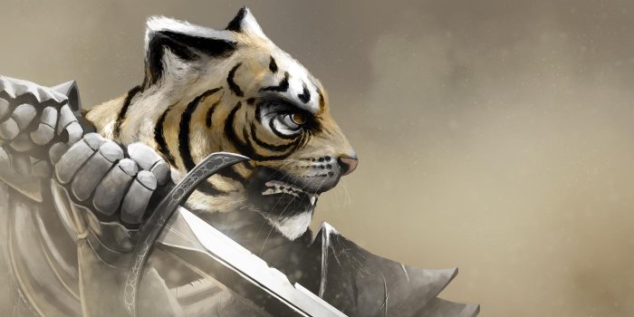 1920x1080 Tiger Warrior - 1920x1080 Wallpaper - Ecopetit.cat