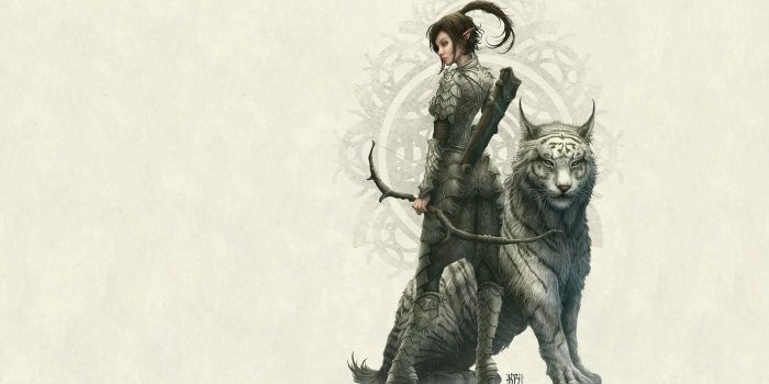 1920x1200 Tiger Bow Warrior HD wallpaper | creative and fantasy | Wallpaper