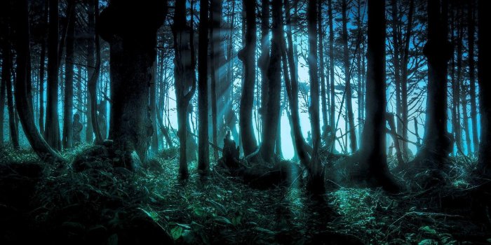 1920x1200 Ghostly Night Wallpapers