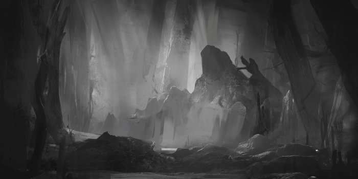 1920x1265 Forest HD Wallpaper | Background Image | 1920x1265 | ID:692443