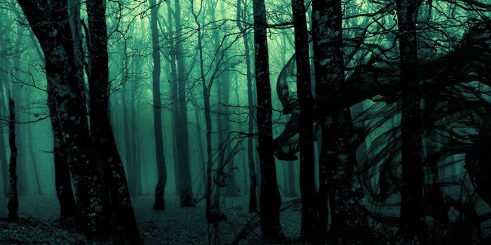 2559x1599 From The Shadows | Forest wallpaper, Gothic wallpaper, Slytherin