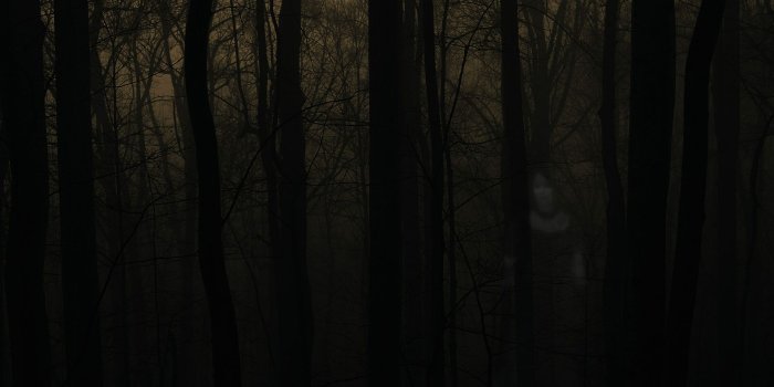 1920x1200 Widescreen Wallpapers of Scary Forest, New Photos
