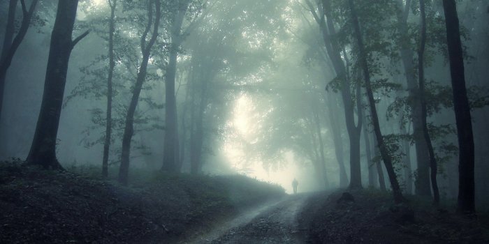 1920x1200 Best 49+ The Ghost and the Darkness Wallpaper on HipWallpaper