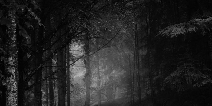 1000x1249 Spooky Pictures | Download Free Images on Unsplash