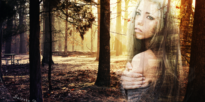 1920x1080 The woods ghost HD Wallpaper | Background Image | 1920x1080 | ID