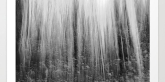 1500x1500 Ghostly forest, black and white Art Print by frozenlakemp | Society6