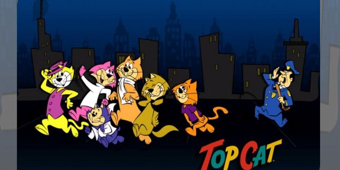 1024x768 Our Cute ToP CaT,,,, | Cat wallpaper, Cartoon, Cat top