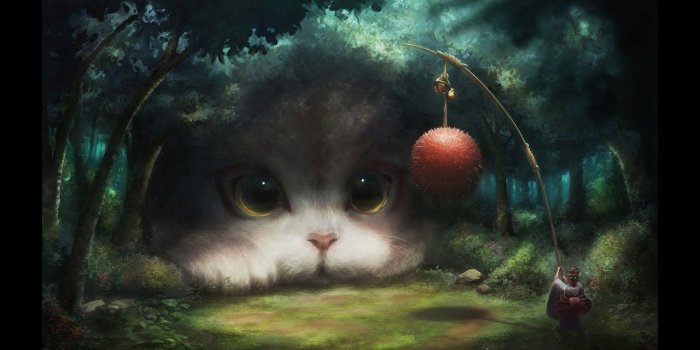 1280x720 Top Best Cat Wallpaper - Weird Images With No Context (#854539