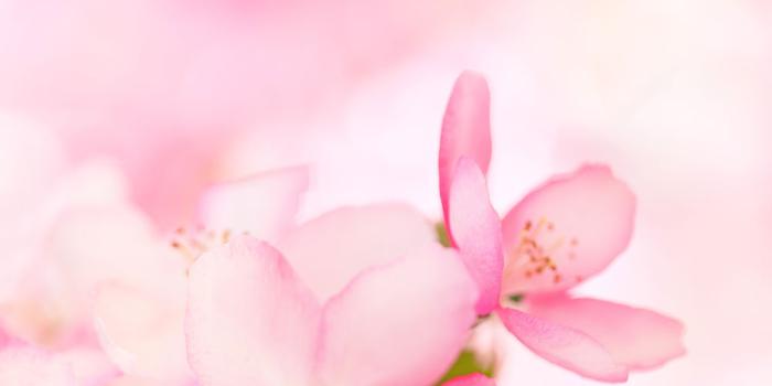 1000x1500 Print a Wallpaper