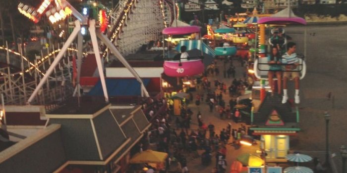 834x1280 King and Lionheart | Photo, Summer fun, Photography