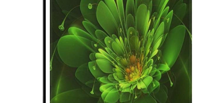 852x1153 Amazon.com : ALAZA Green-Flower-Background-Colorful-Wallpaper