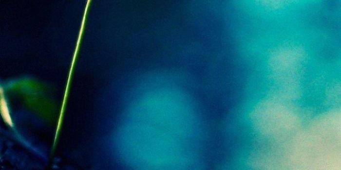 720x1280 Vertical Wallpapers HD