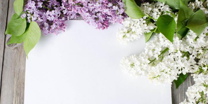 2560x1440 Lilac Flowers Wallpaper (55+ images)
