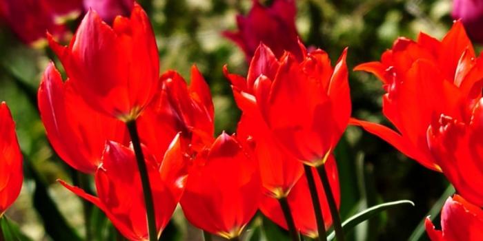 1080x2400 1080 x 2400 nature wallpaper. Screen wallpapers. 1080x2400 Backgrounds