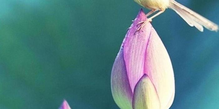 1080x1920 Hd Vertical Wallpapers For Android Mobile 26+ - hdwallpaper20.com