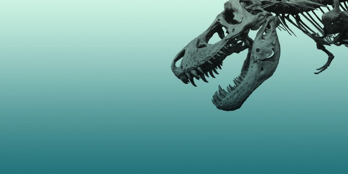 1920x1200 10 Awesome Dinosaur Wallpaper Designs - DinoPit