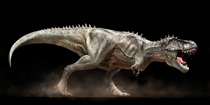1920x1200 Best 55+ Tyrannosaurus Rex Wallpaper on HipWallpaper | T-Rex