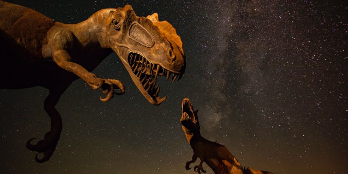 3000x1999 500+ Dinosaur Pictures [HQ] | Download Free Images on Unsplash