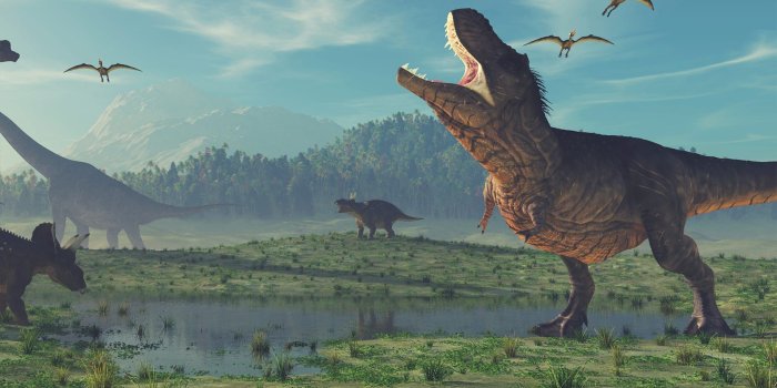 1920x1080 How do we know what dinosaurs looked like?