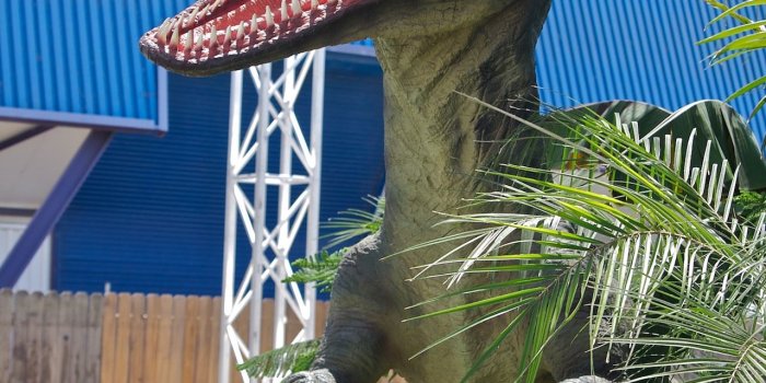 1280x1920 A Life Sized Dinosaur Lurks In The Bushes - Raptor Dinosaur