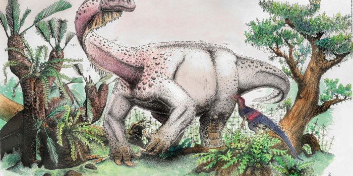 1600x900 Giant thunderclap' dinosaur discovered - CNN Video