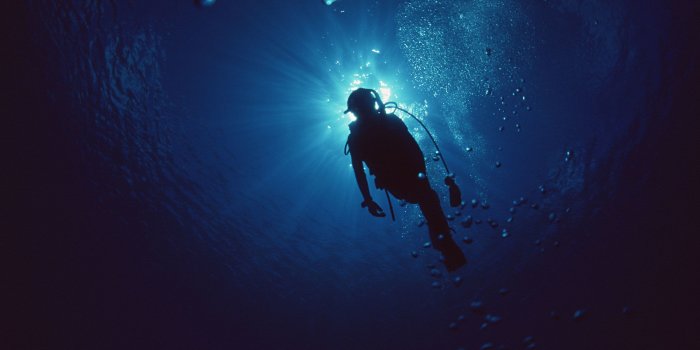 2950x2094 54+ Scuba Diving Wallpapers on WallpaperPlay