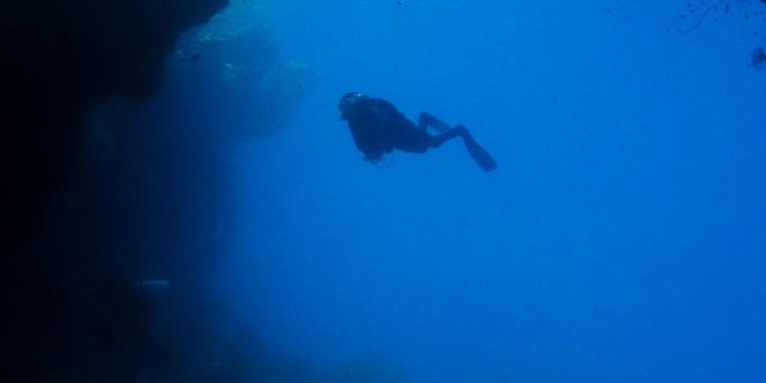 1242x2208 Scuba Diving Wallpaper (59+ images)