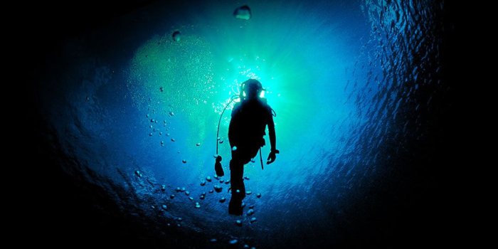 1080x1920 Deep Blue Swim Ocean Dive iPhone 8 Wallpapers Free Download