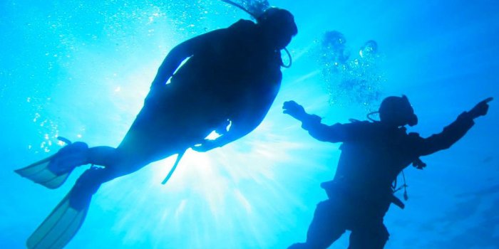 1080x1920 Scuba Diving Wallpaper for iPhone 11, Pro Max, X, 8, 7, 6 - Free