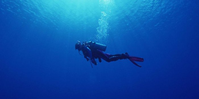 1024x768 Free Scuba Diving Wallpapers