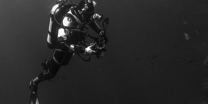 1080x1920 Scuba Diving Wallpaper (59+ images)