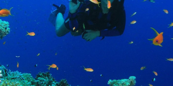 1080x1920 Scuba iPhone Wallpapers - Top Free Scuba iPhone Backgrounds